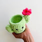 NO SEW - Mini Stress Ball Buddies Cactus Crochet Pattern, Beginner Friendly (PDF Pattern)